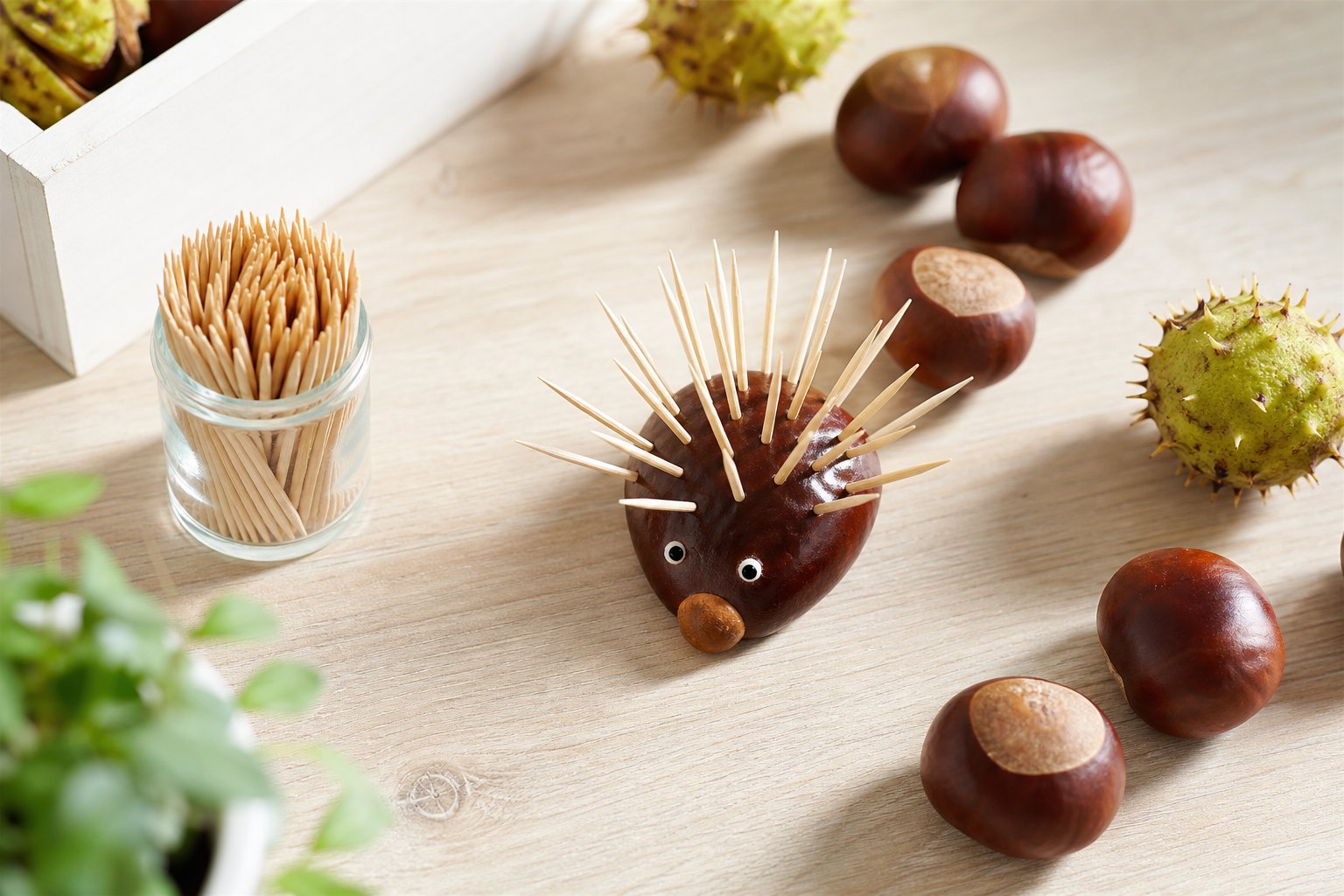 Auf einem Holztisch: ein fertiger Igel aus einer Kastanie mit vielen Zahnstochern als Stacheln und zwei kleinen Augen, danebe