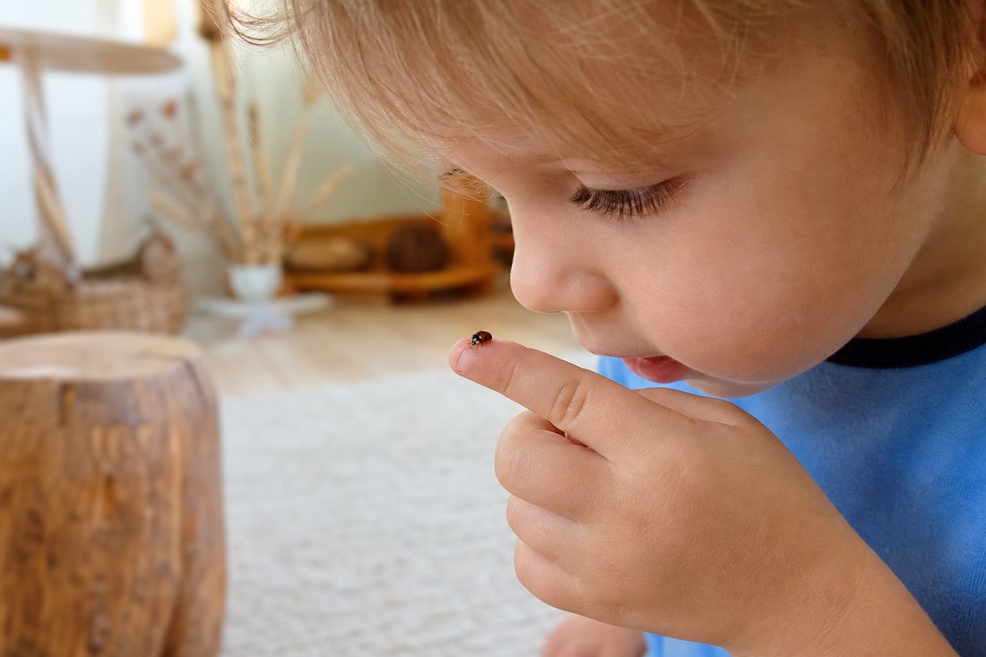 Ein Kleinkind betrachtet aus naechster Naehe einen winzigen Kaefer auf seinem Finger, die Augen ganz dicht davor.