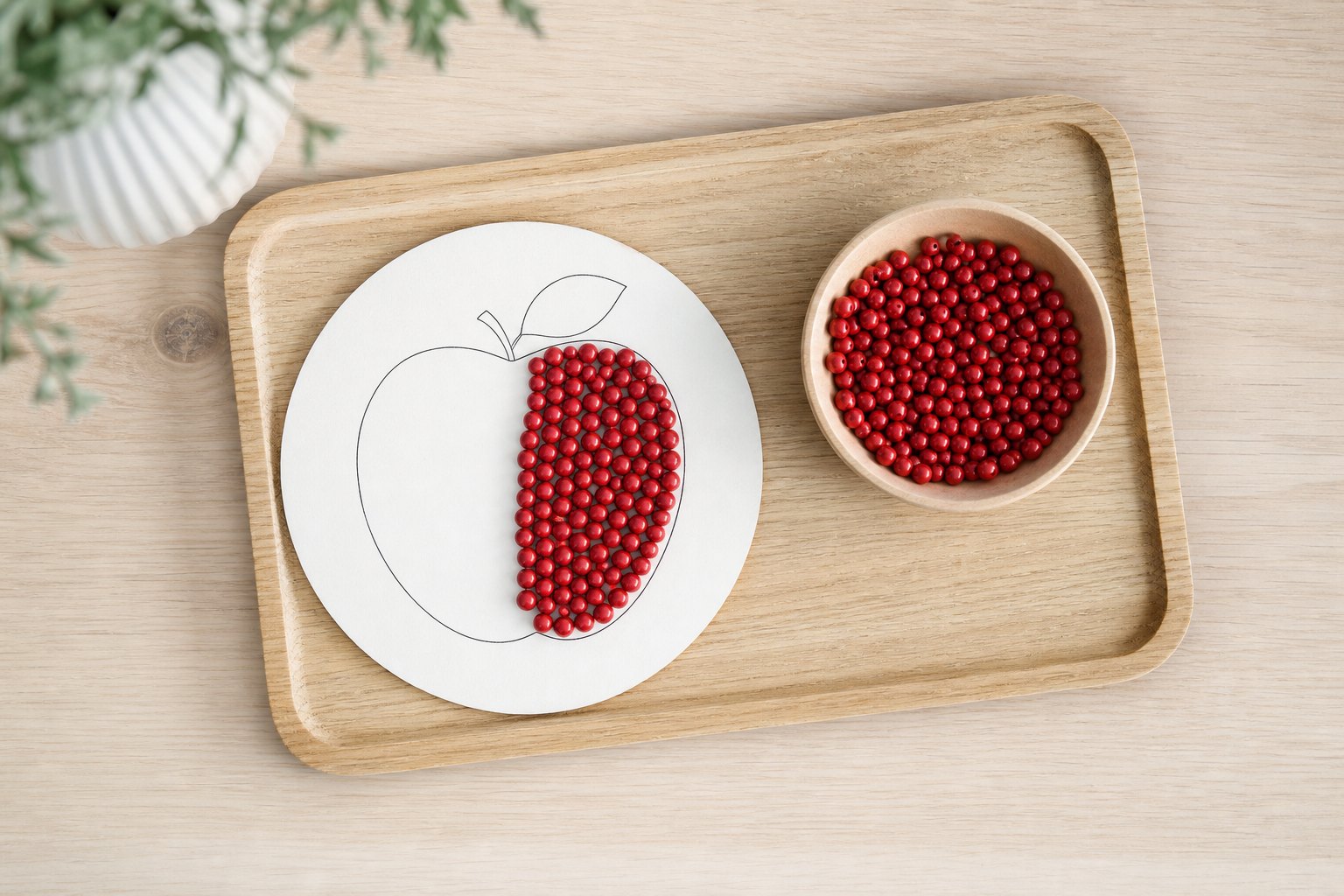 Montessori Tablett mit eine helle runde Karte mit dem aufgezeichneten Umriss eines Apfels, der teilweise mit kleinen roten Ho